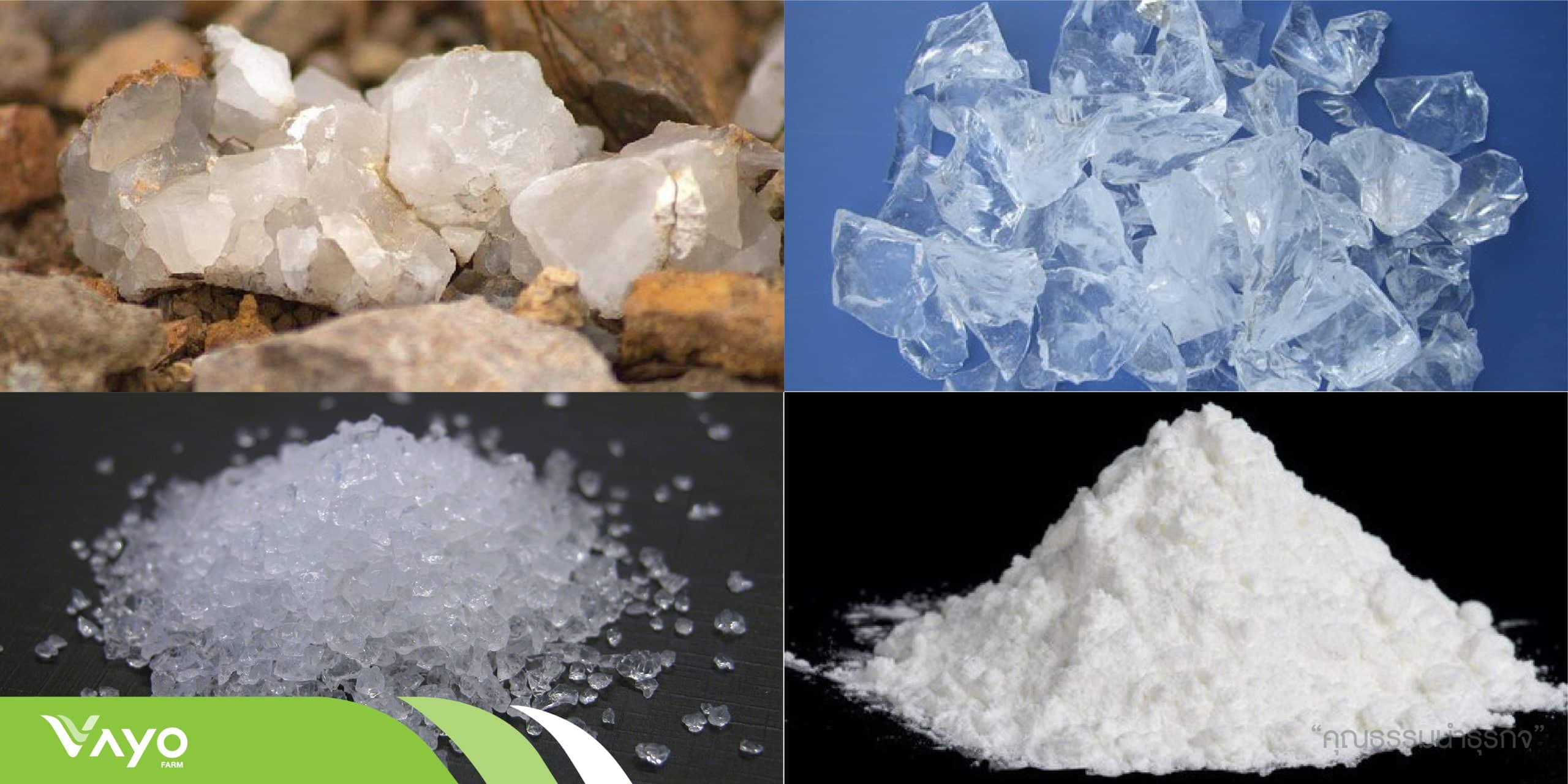 00 ปก ซิลิกา-silicaSiO2 1000x500_-01