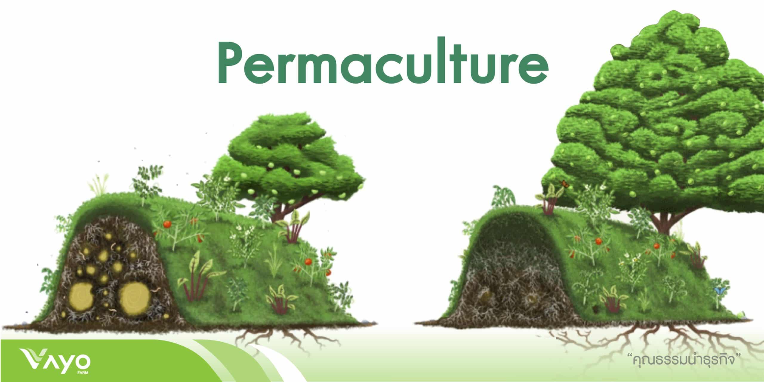 00 ปก HugelkulturRaisedBed แก้ไข-01