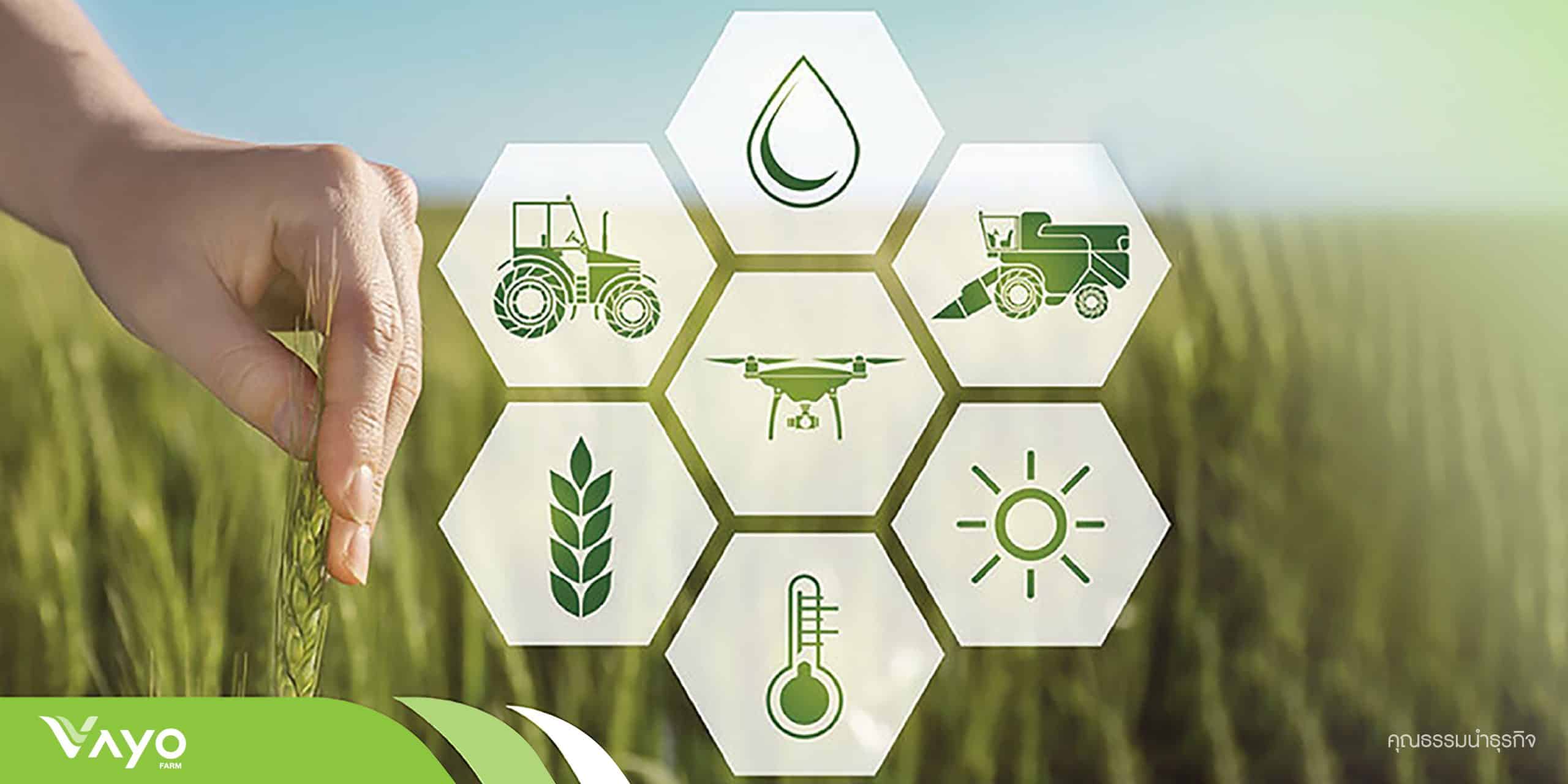 ปก smart-farming-01