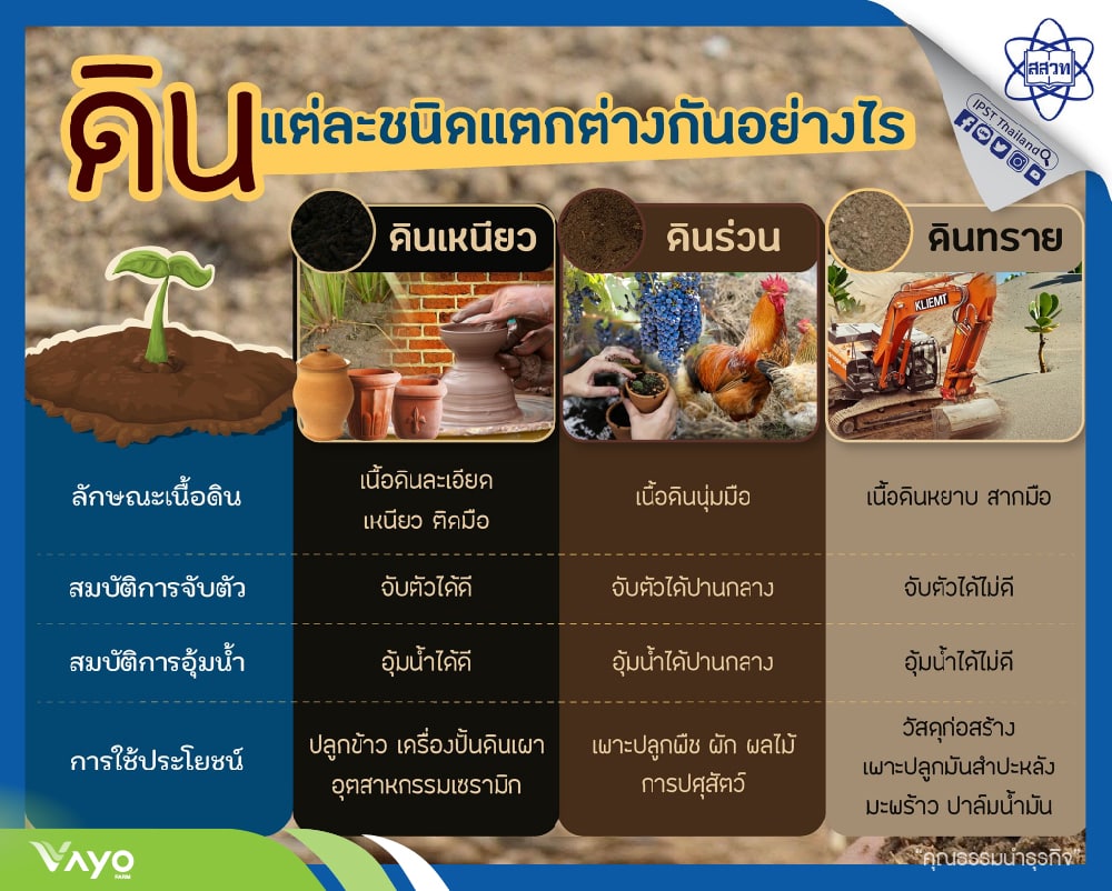 ประเภทของดินแต่ละชนิด