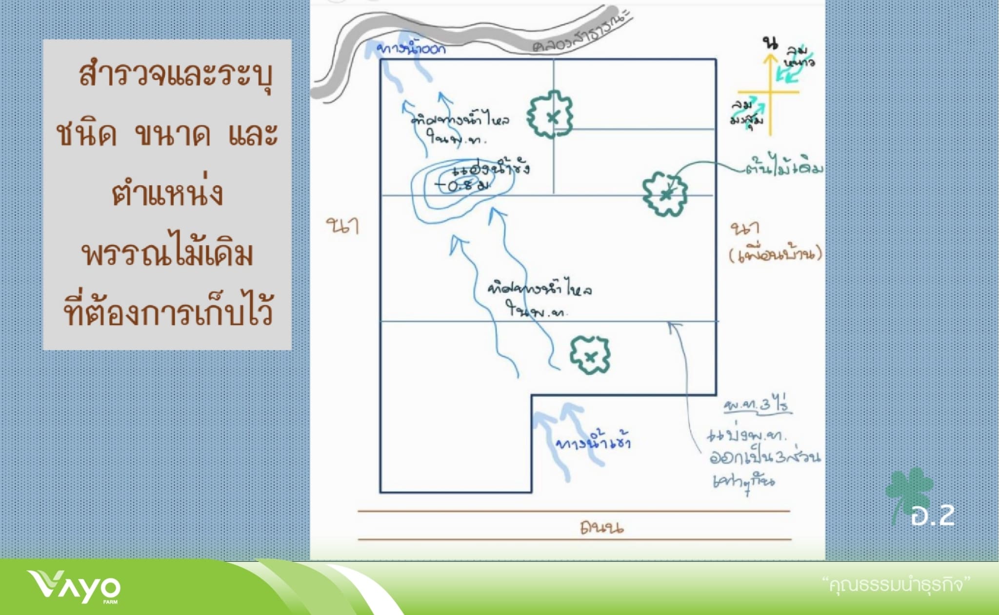 สำรวจพรรณไม้เดิม