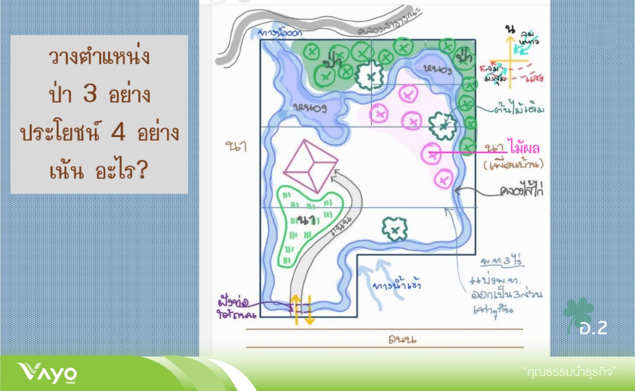 วางป่า 3 อย่างประโยชน์ 4 อย่าง