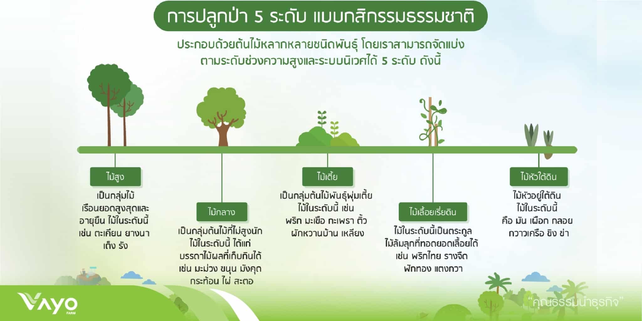ป่า5 ระดับ