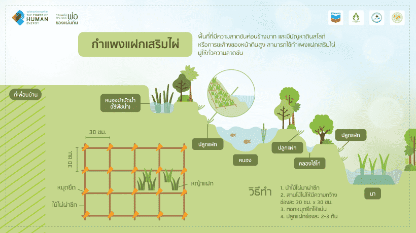 กำแพงแฝกเสริมไผ่0