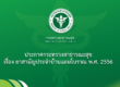 ประกาศกระทรวงสาธารณะสุข เรื่อง ยาสามัญประจําบ้านแผนโบราณ พ.ศ. 2556