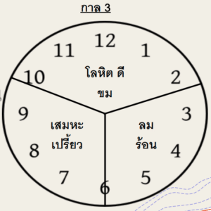 กาล 3 เภสัชกรรมไทย สรรพคุณเภสัช