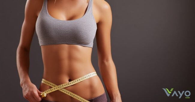 3 เคล็ดลับลดน้ำหนักแบบไม่ทรมาน