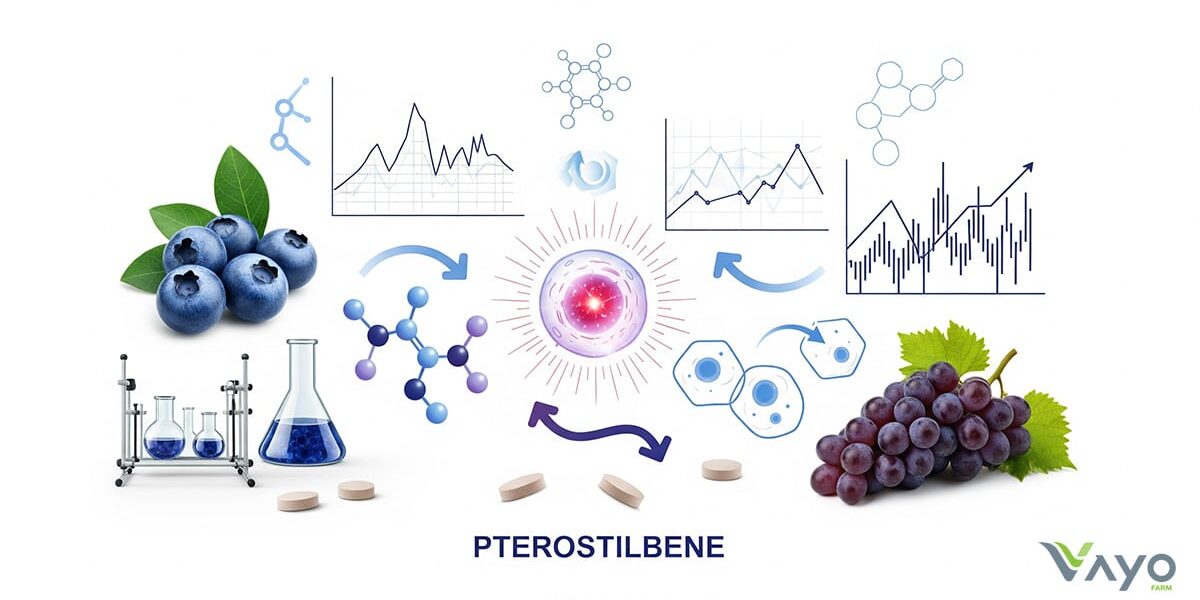 Pterostilbene (เทอโรสทิลบีน)