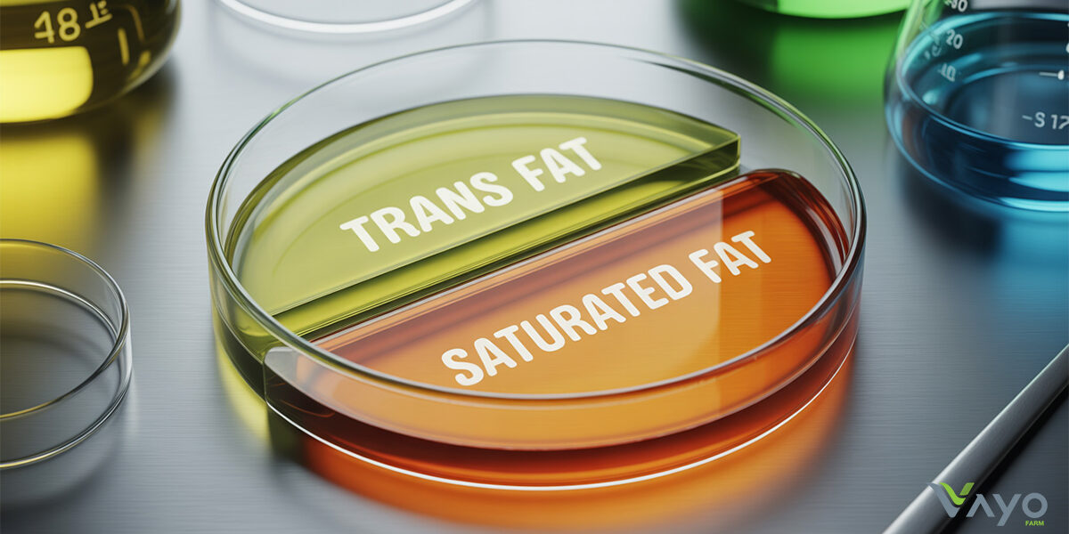 ไขมันทรานส์และไขมันอิ่มตัว